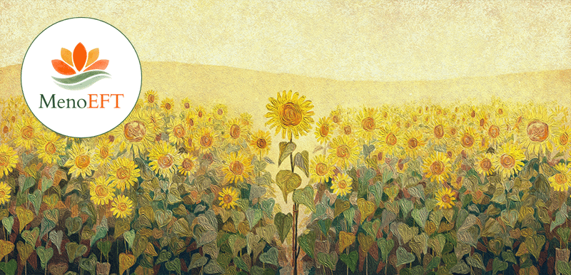 Sunflower Sunflower